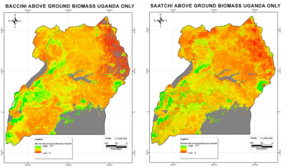 Comparison of two carbon maps over Uganda from BCB5 training workshop. Note the similarities (placements of high biomass areas) and differences (some SW forests are very different). 